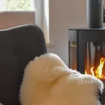 Extrazeit_urlaub Dom wakacyjny Hasselberg (Schleswig-Holstein)